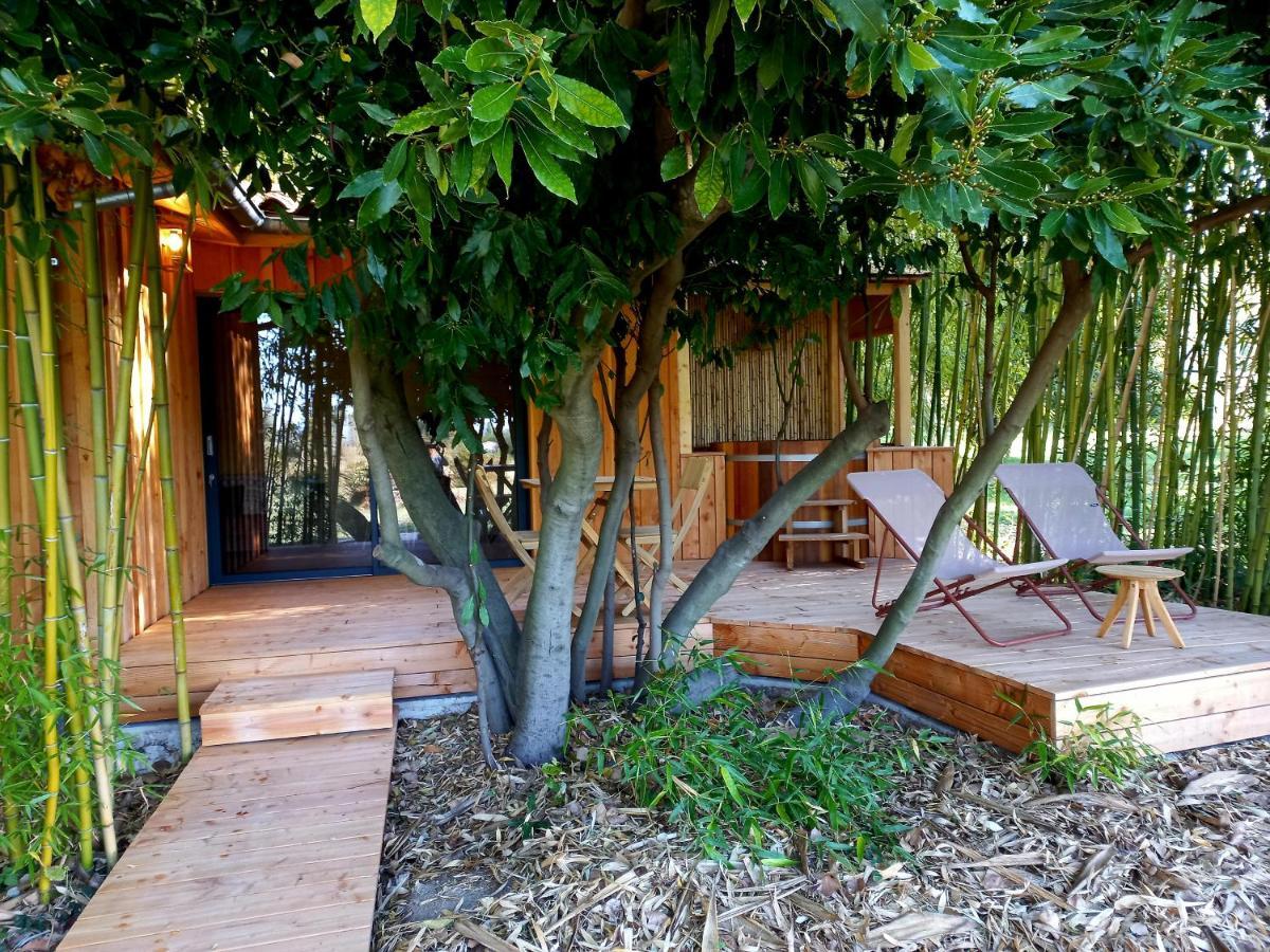 Maisonette Et Spa Bois La Begude-de-Mazenc Luaran gambar